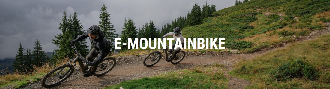 e-mountain-bike